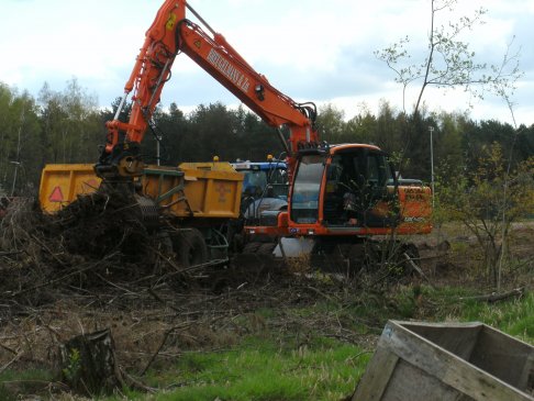 shredderen van stronken en takken tot biomassa (8)