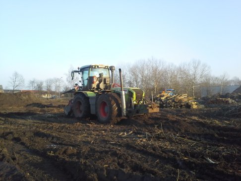 bosfrezen van stronken en takken (2)