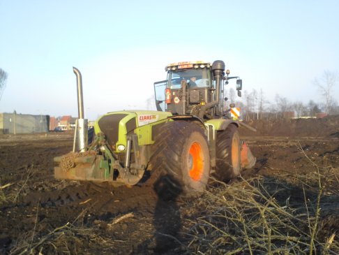 bosfrezen van stronken en takken (4)