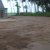 Aanleg tuin en oprit in beton 14