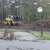 hout shredderen (5)